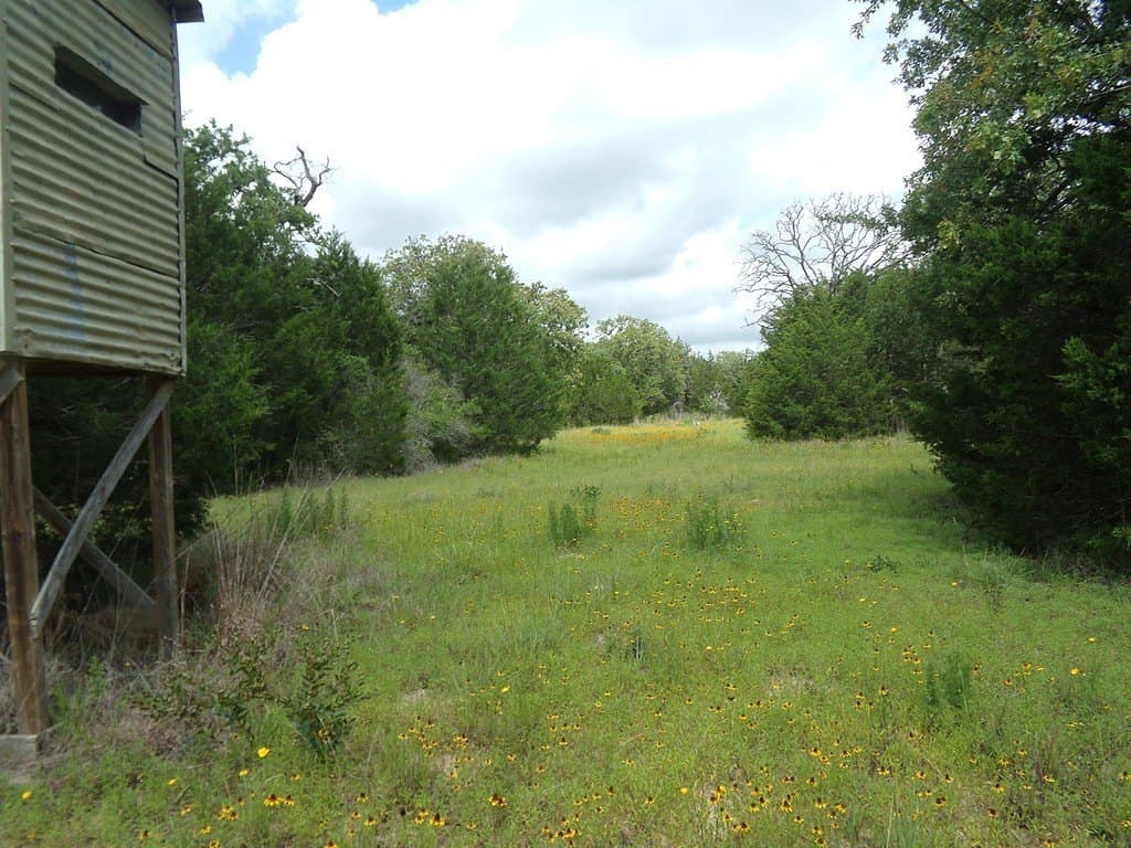 78 acres in Colorado County - photo 21