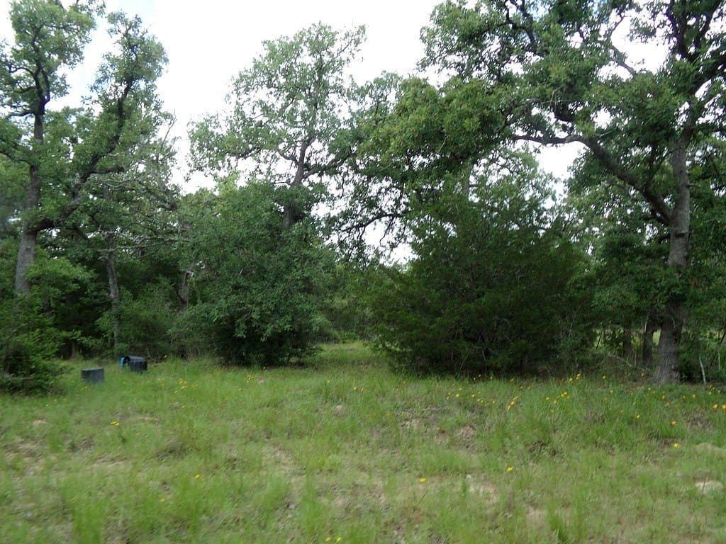 78 acres in Colorado County - photo 16