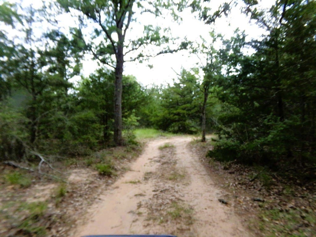 78 acres in Colorado County - photo 9