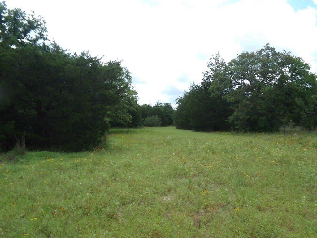 78 acres in Colorado County - photo 22