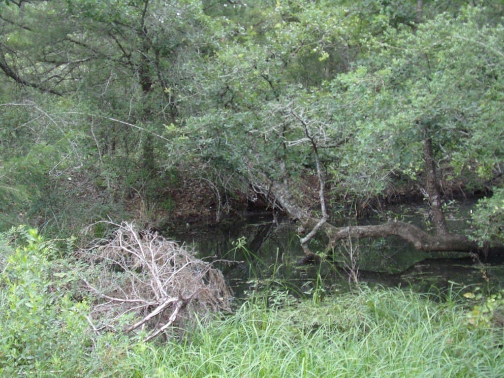 78 acres in Colorado County - photo 3