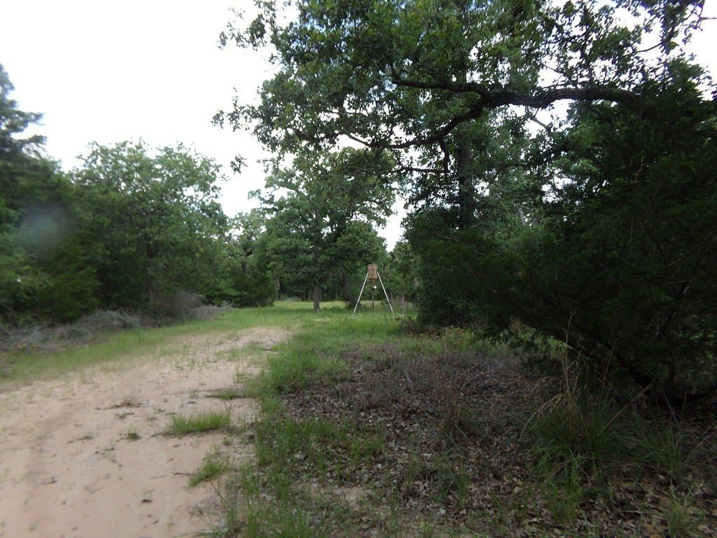 78 acres in Colorado County - photo 2