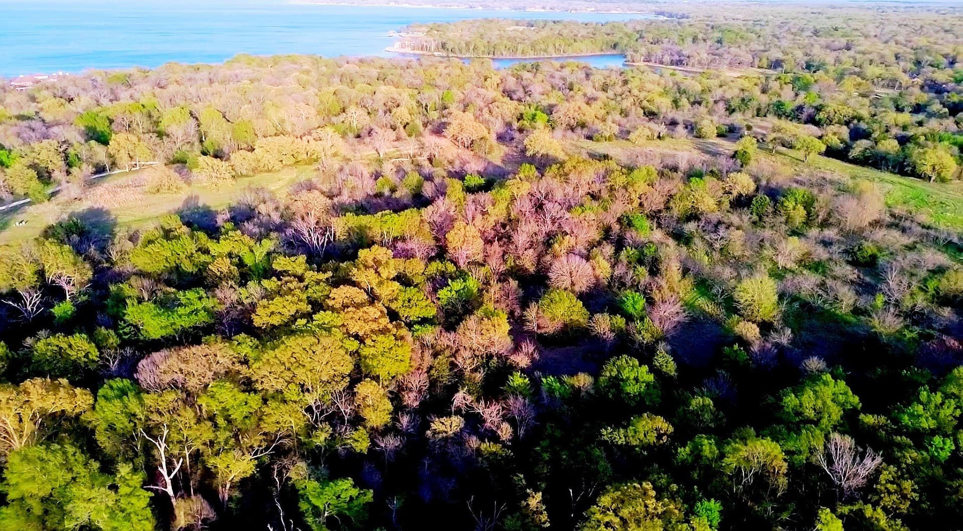 72 acres in Navarro County - photo 3