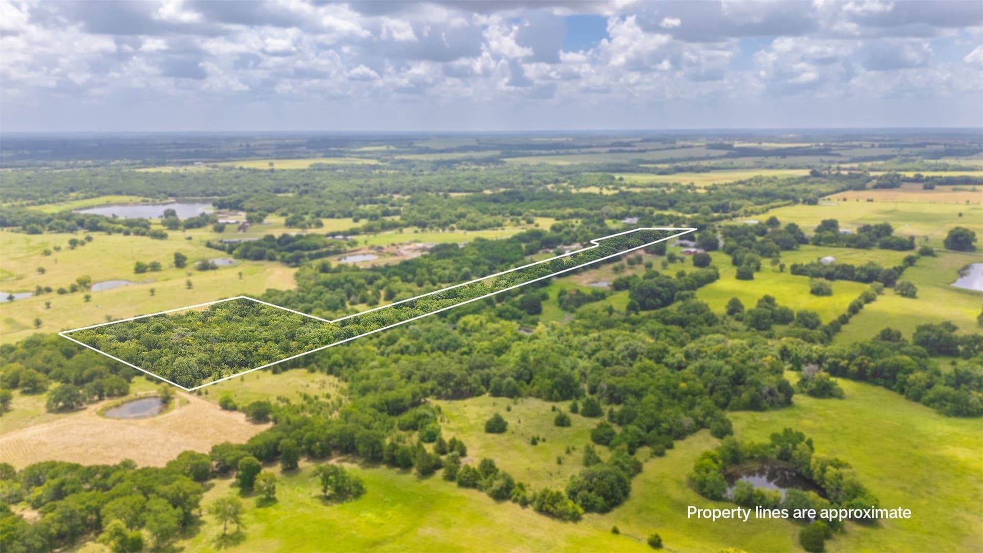 9.26 acres in Fannin County featured view
