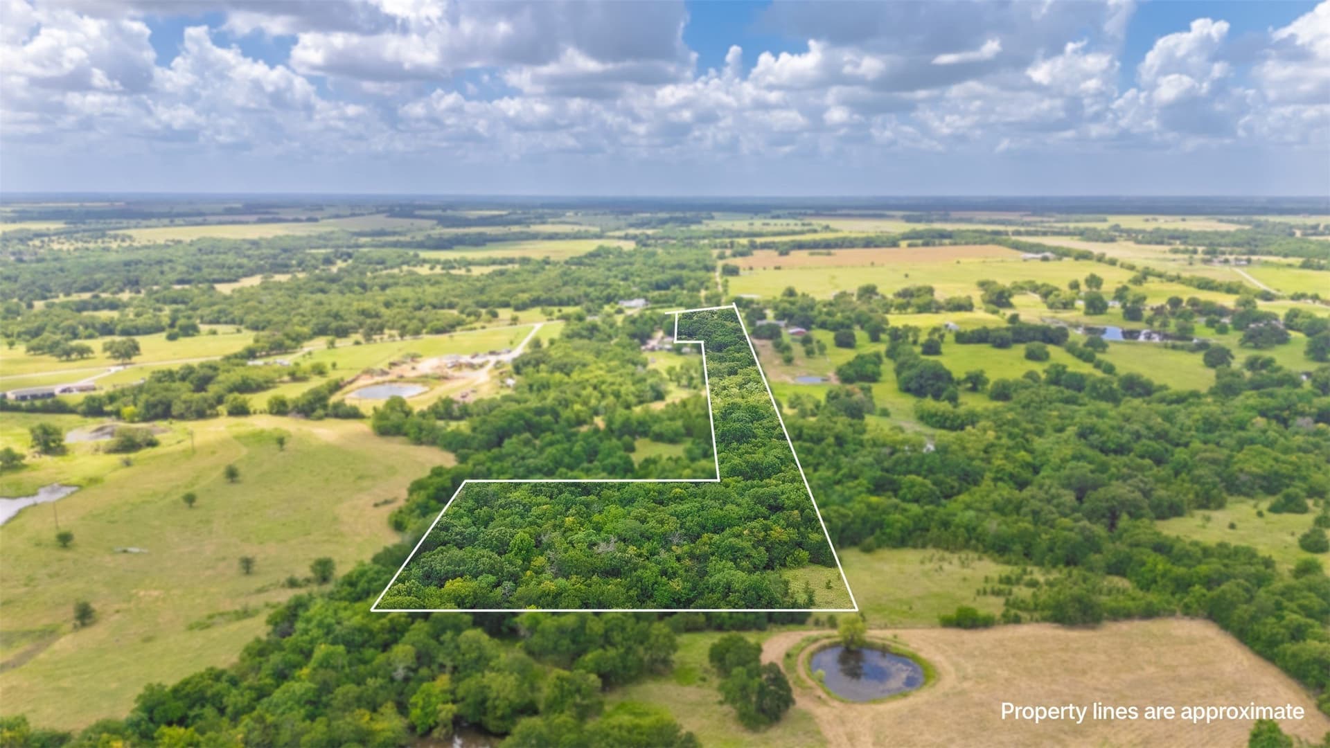9.26 acres in Fannin County gallery image 2