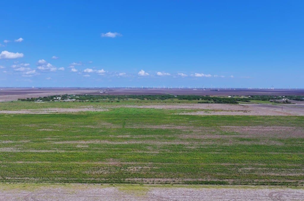15.5 acres in San Patricio County gallery image 4