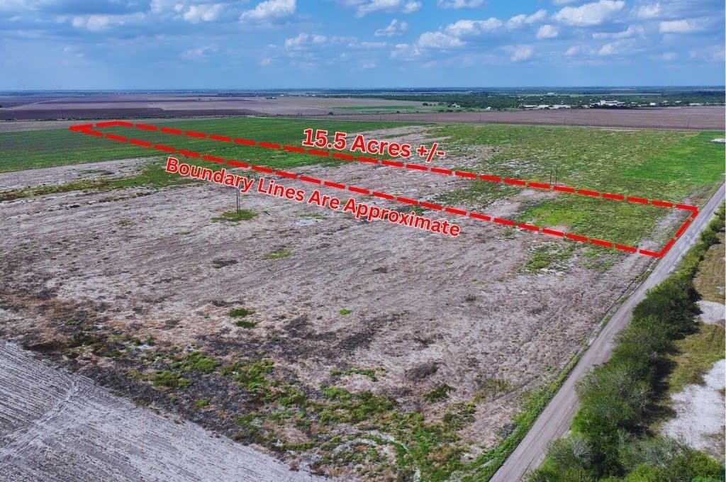 15.5 acres in San Patricio County gallery image 3