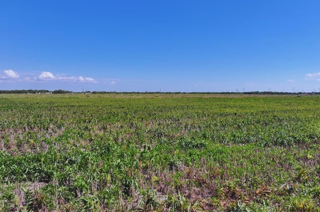 15.5 acres in San Patricio County - photo 6
