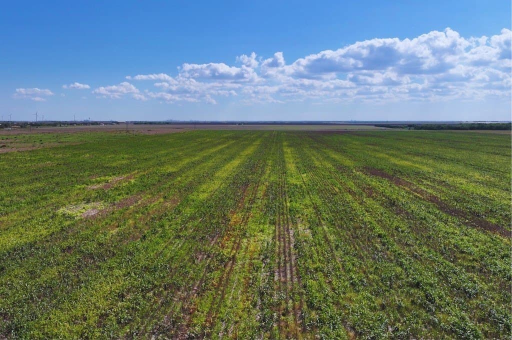 15.5 acres in San Patricio County featured view