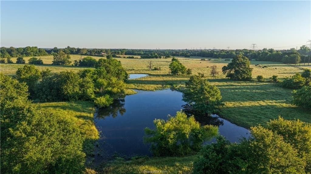 100 acres in Madison County gallery image 2