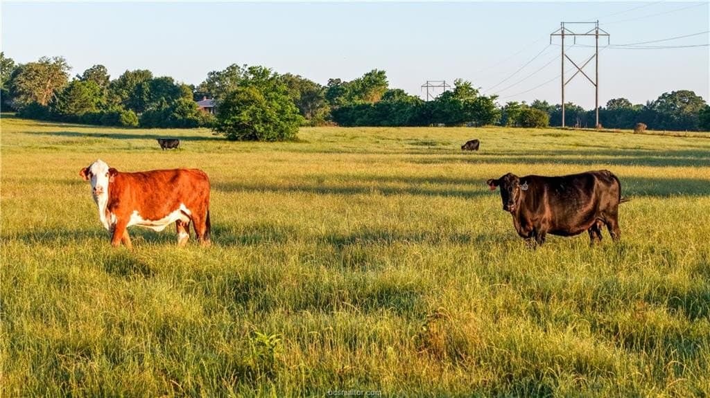 100 acres in Madison County featured view