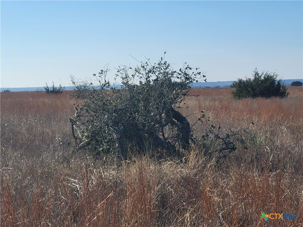 41.53 acres in Hamilton County - photo 7