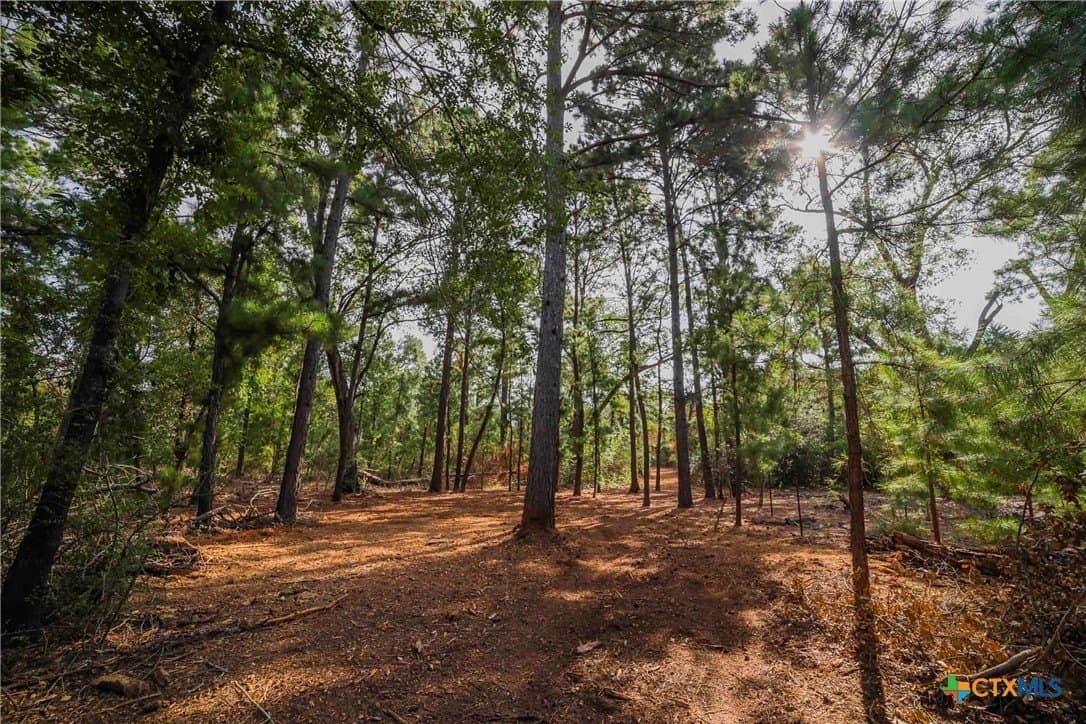 40 acres in Bastrop County - photo 26