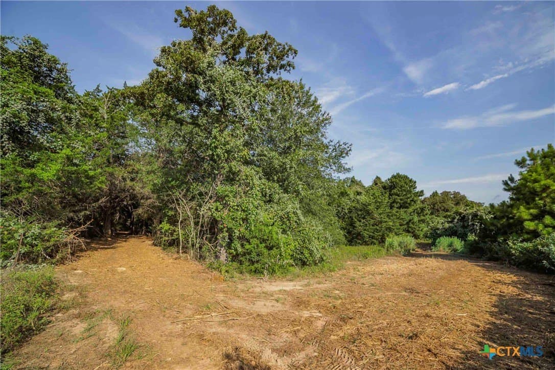 40 acres in Bastrop County - photo 23