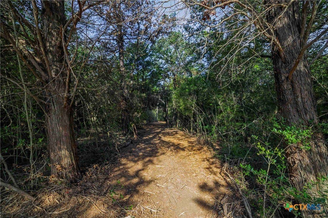 40 acres in Bastrop County - photo 24