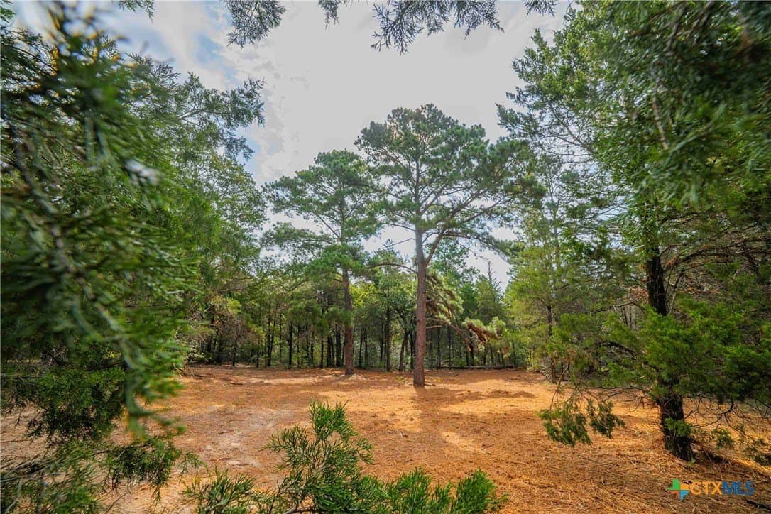40 acres in Bastrop County - photo 29
