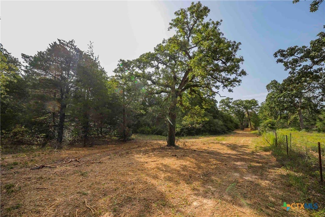 40 acres in Bastrop County - photo 28