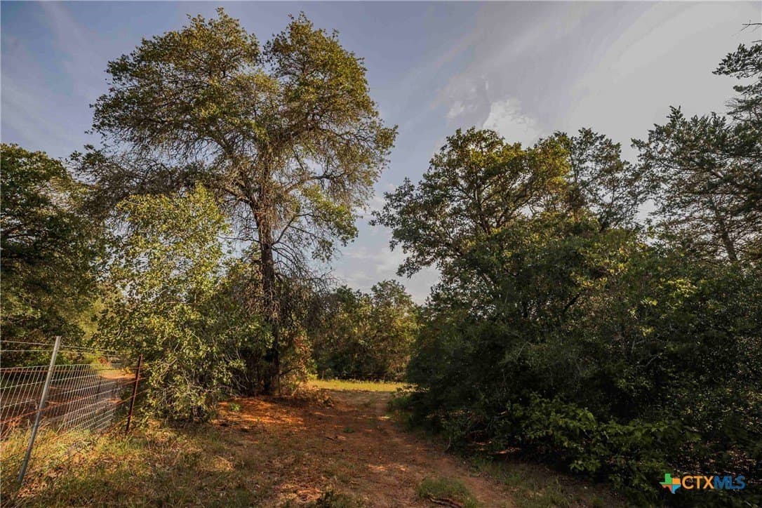 40 acres in Bastrop County - photo 21