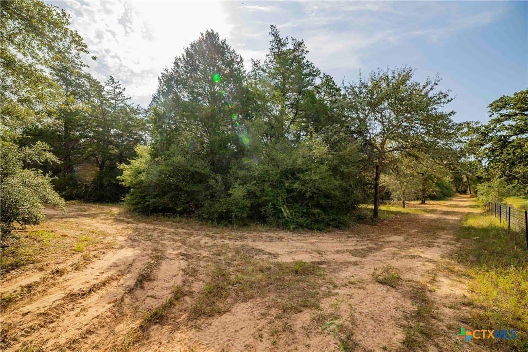 40 acres in Bastrop County - photo 31