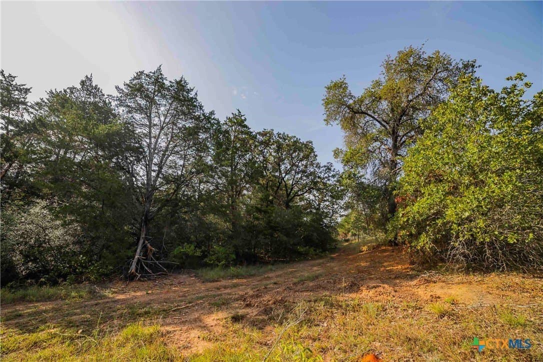 40 acres in Bastrop County - photo 19