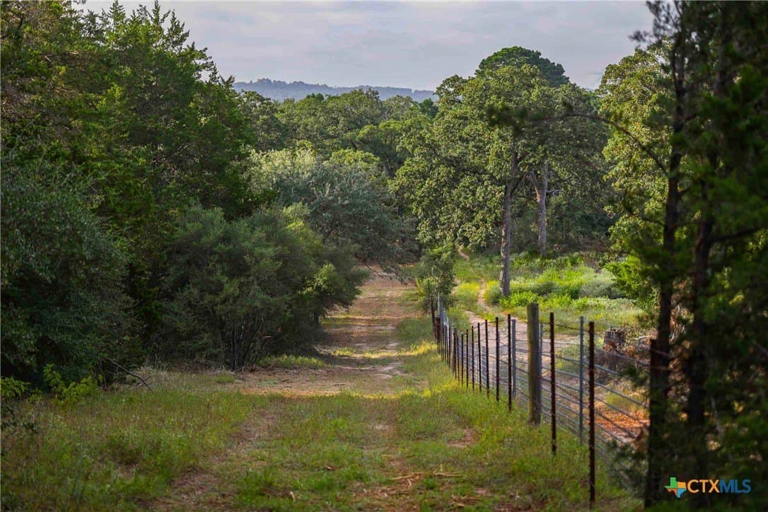 40 acres in Bastrop County