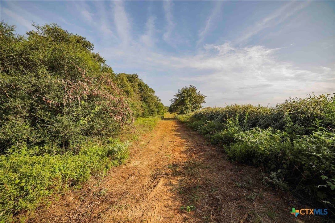 40 acres in Bastrop County - photo 12