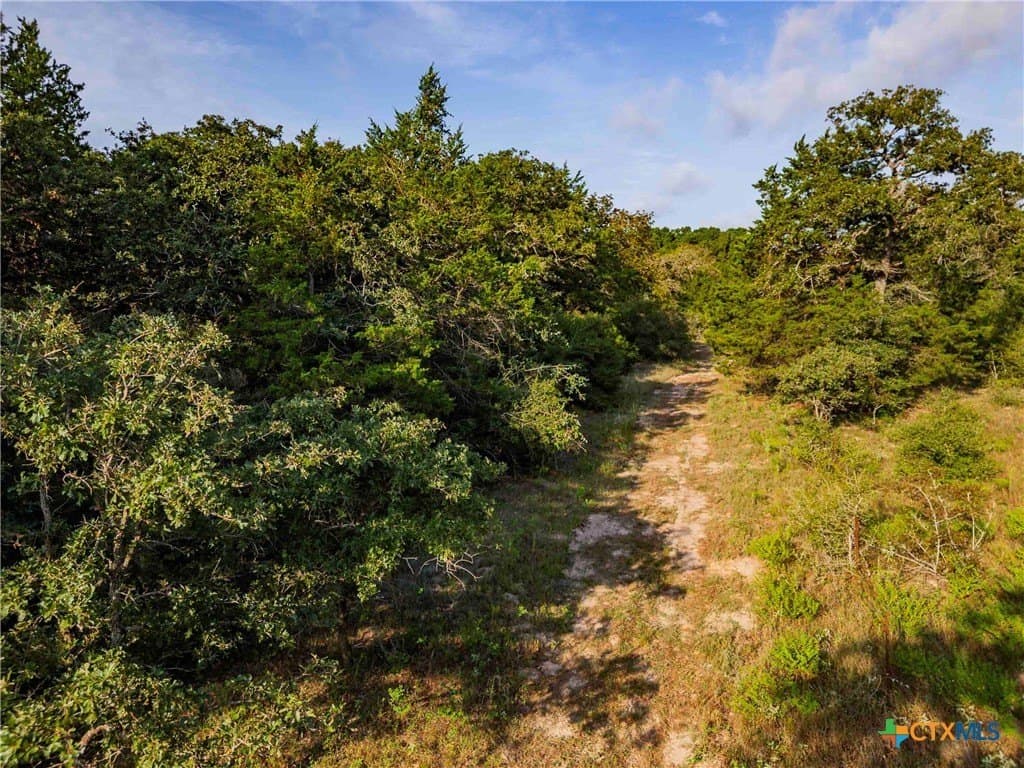40 acres in Bastrop County - photo 39