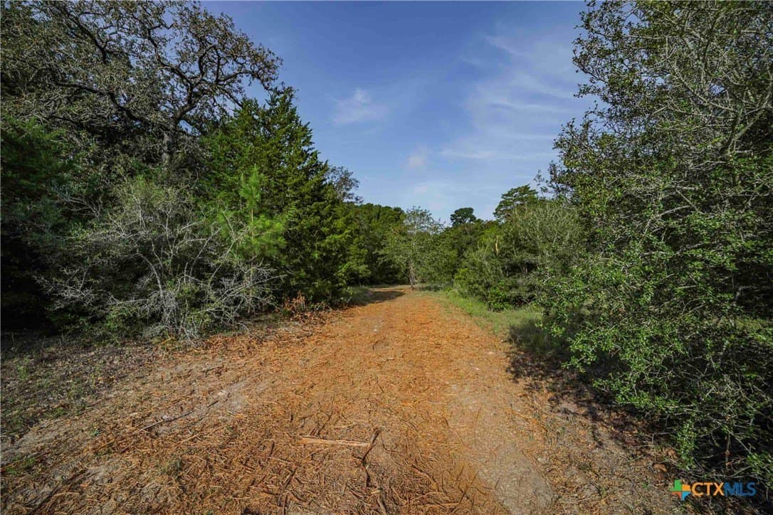 40 acres in Bastrop County - photo 15