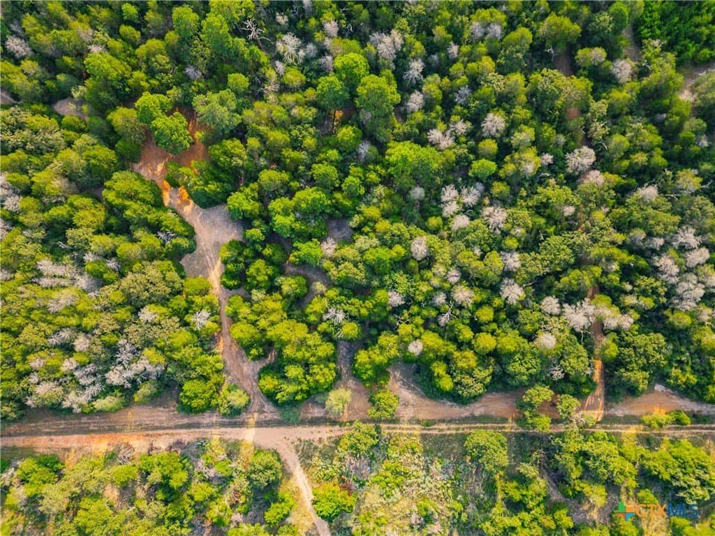 40 acres in Bastrop County - photo 36