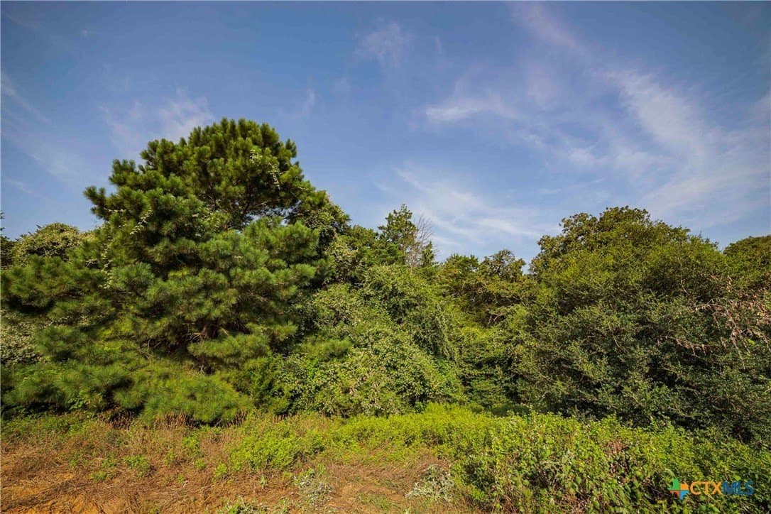 40 acres in Bastrop County - photo 11