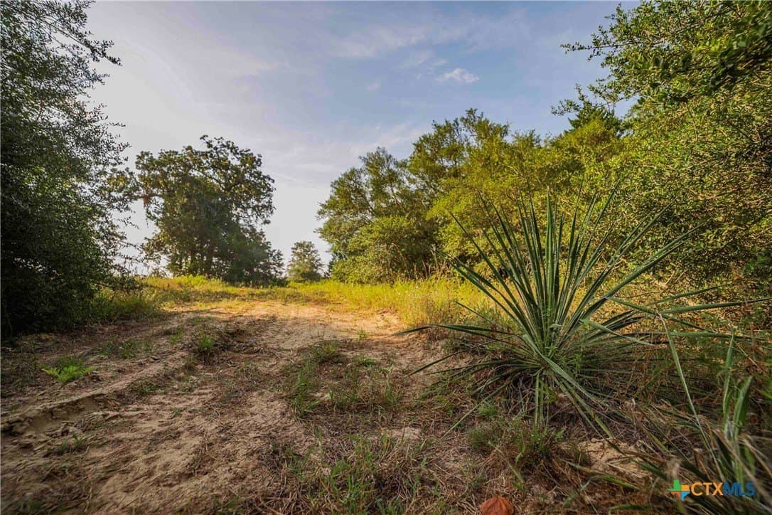 40 acres in Bastrop County - photo 14
