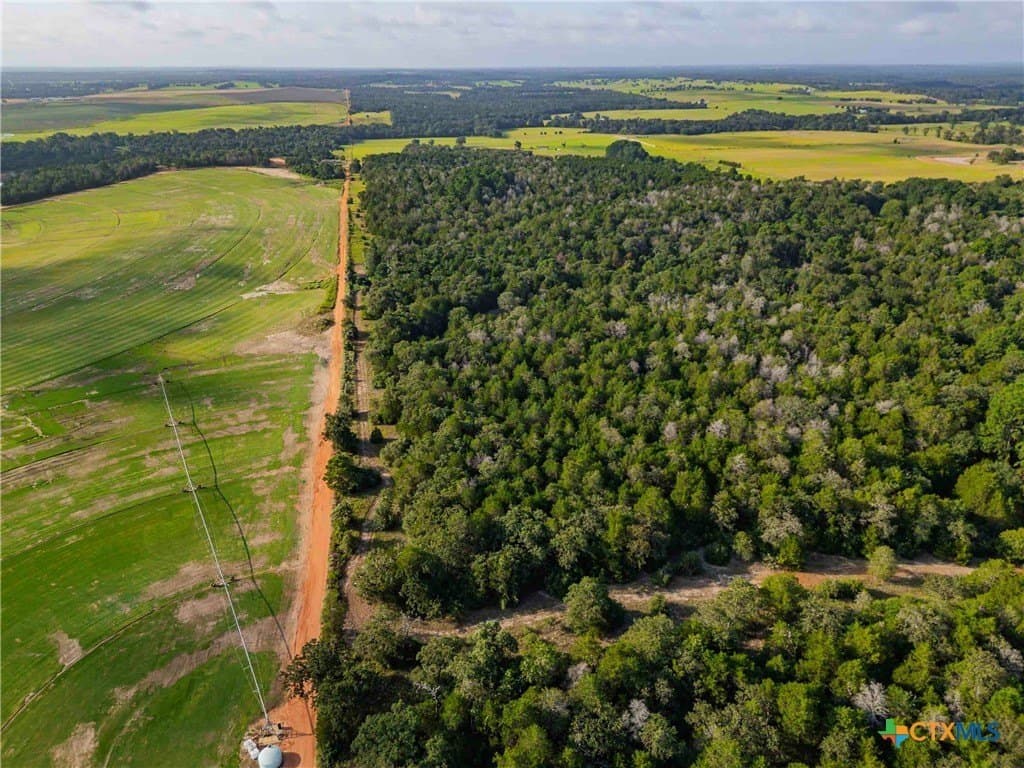 40 acres in Bastrop County - photo 40