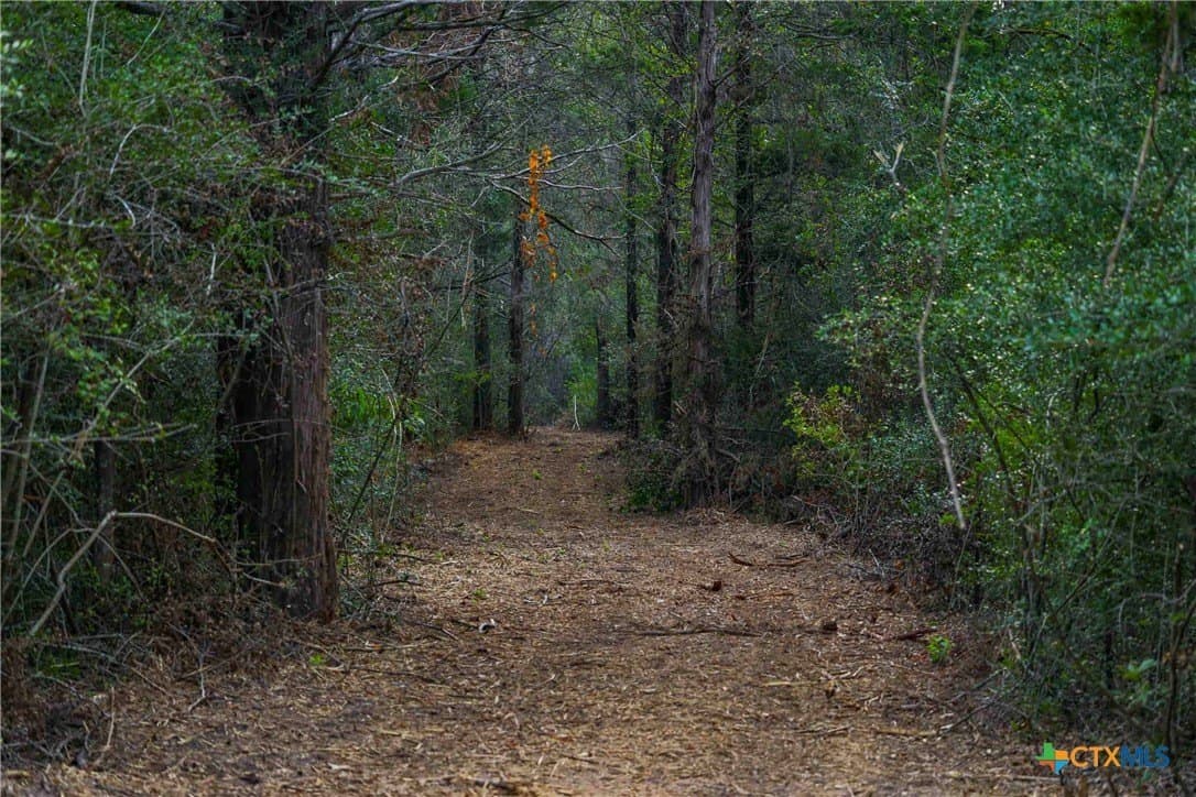 40 acres in Bastrop County - photo 4