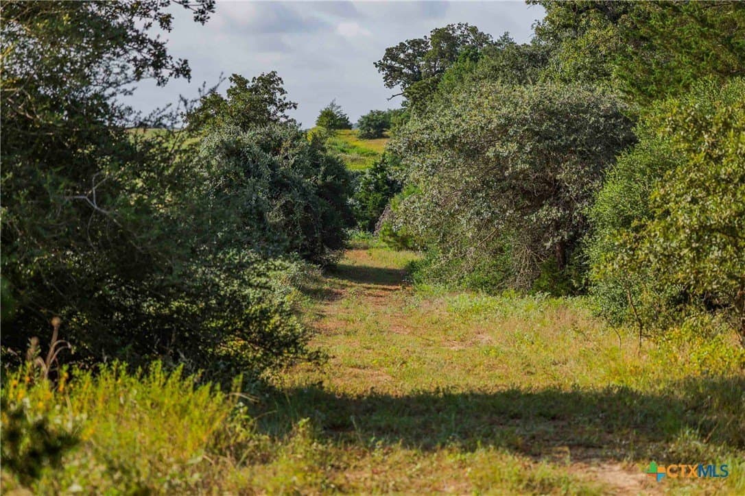 40 acres in Bastrop County - photo 10