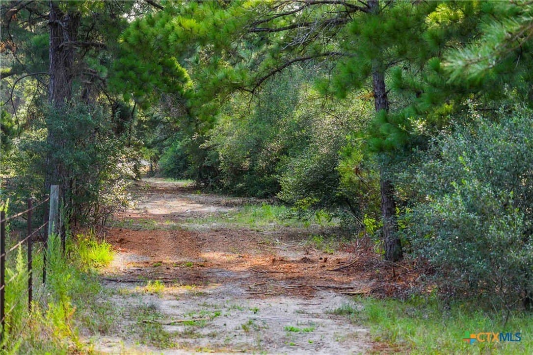 40 acres in Bastrop County - photo 5