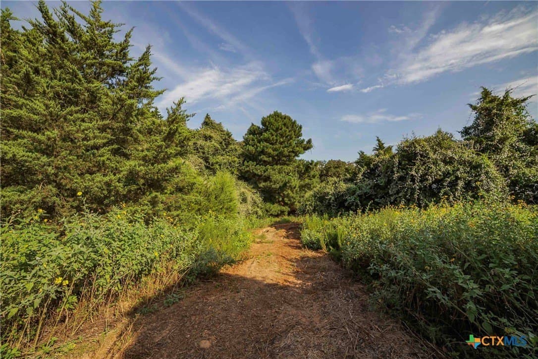 40 acres in Bastrop County - photo 22