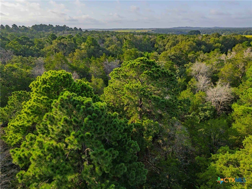 40 acres in Bastrop County - photo 37