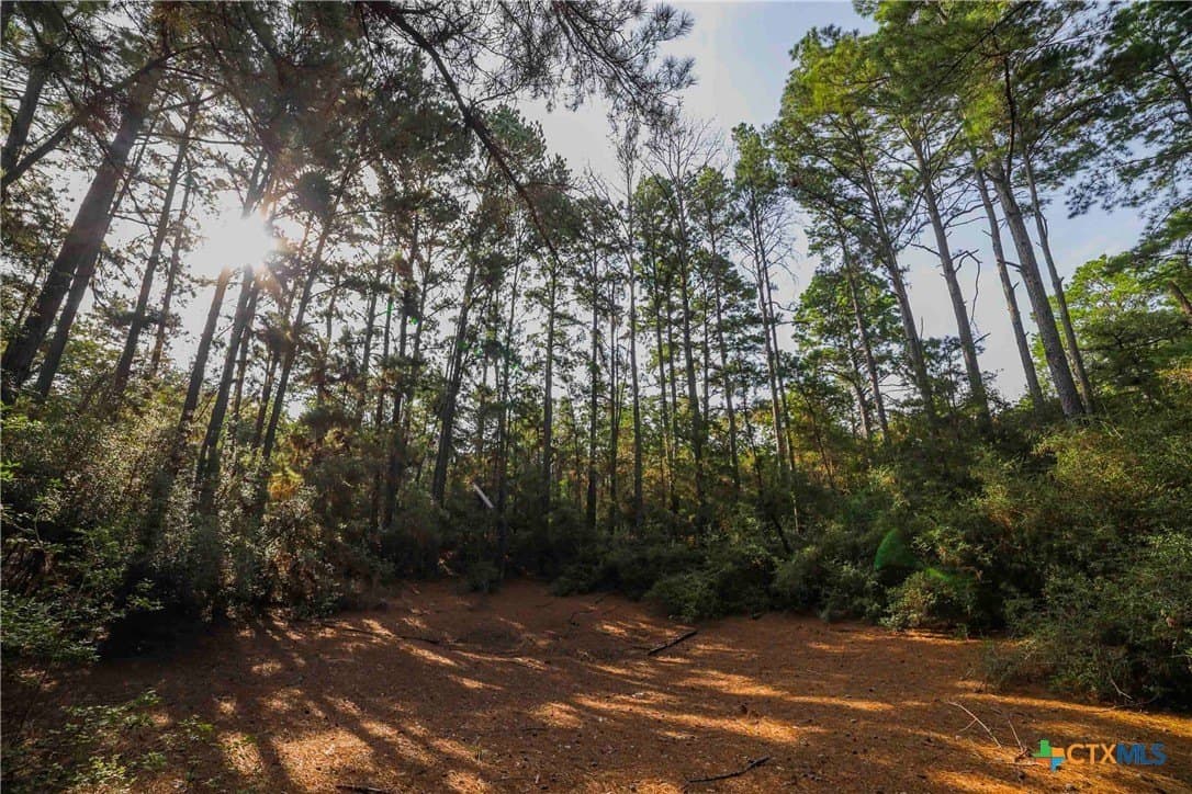 40 acres in Bastrop County - photo 17