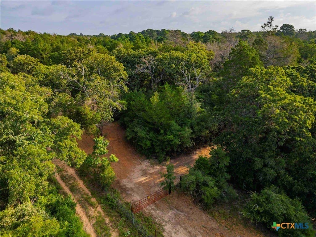 40 acres in Bastrop County - photo 38