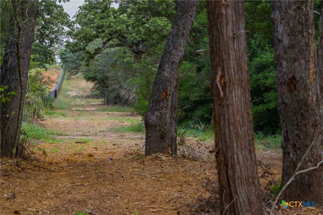 40 acres in Bastrop County - photo 2