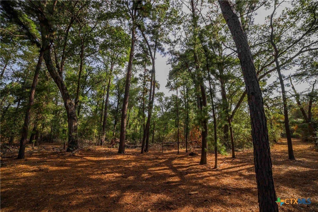40 acres in Bastrop County - photo 25