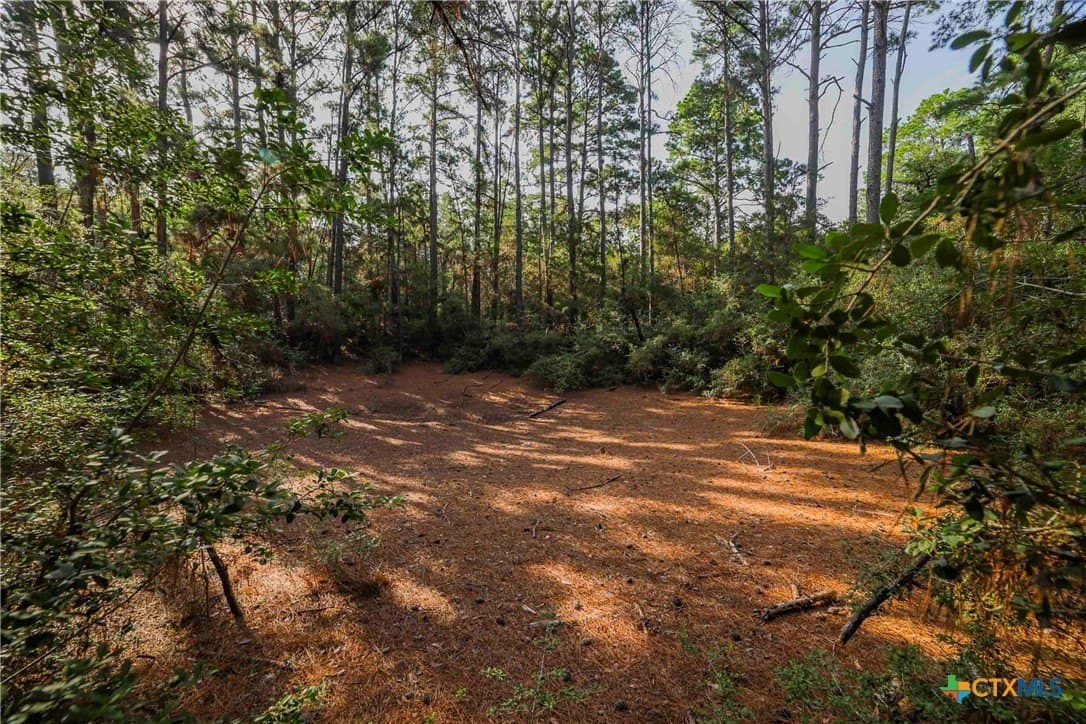 40 acres in Bastrop County - photo 18