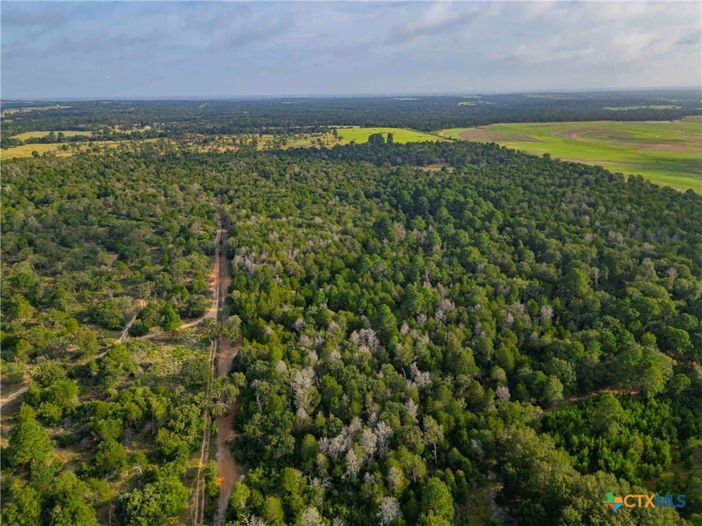 40 acres in Bastrop County - photo 35