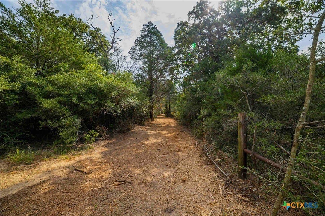 40 acres in Bastrop County - photo 33