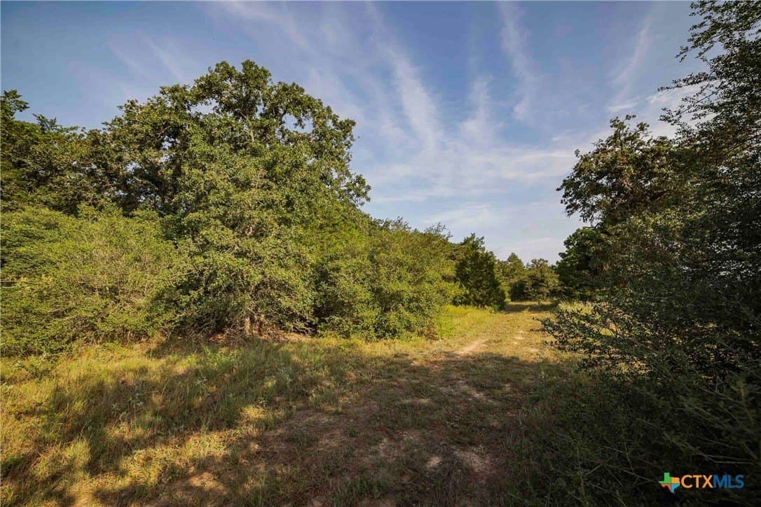 40 acres in Bastrop County - photo 13