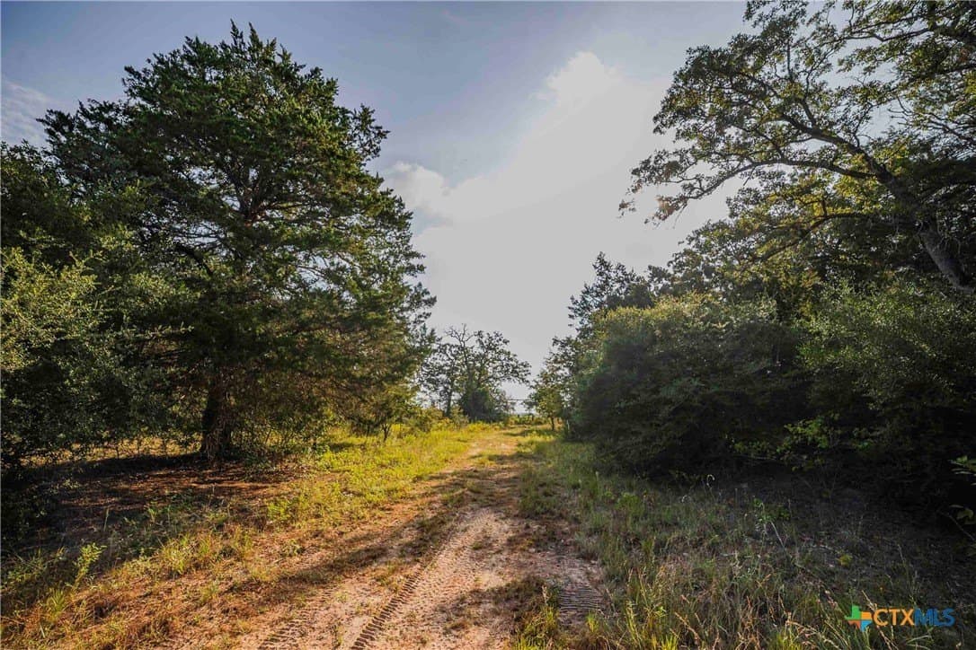 40 acres in Bastrop County - photo 16