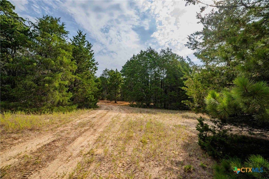 40 acres in Bastrop County - photo 30