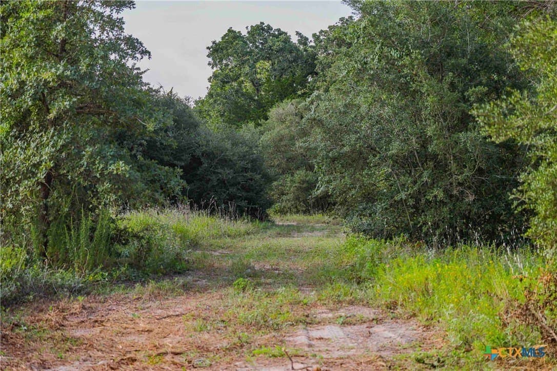 40 acres in Bastrop County - photo 7