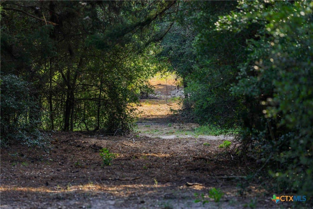40 acres in Bastrop County - photo 6