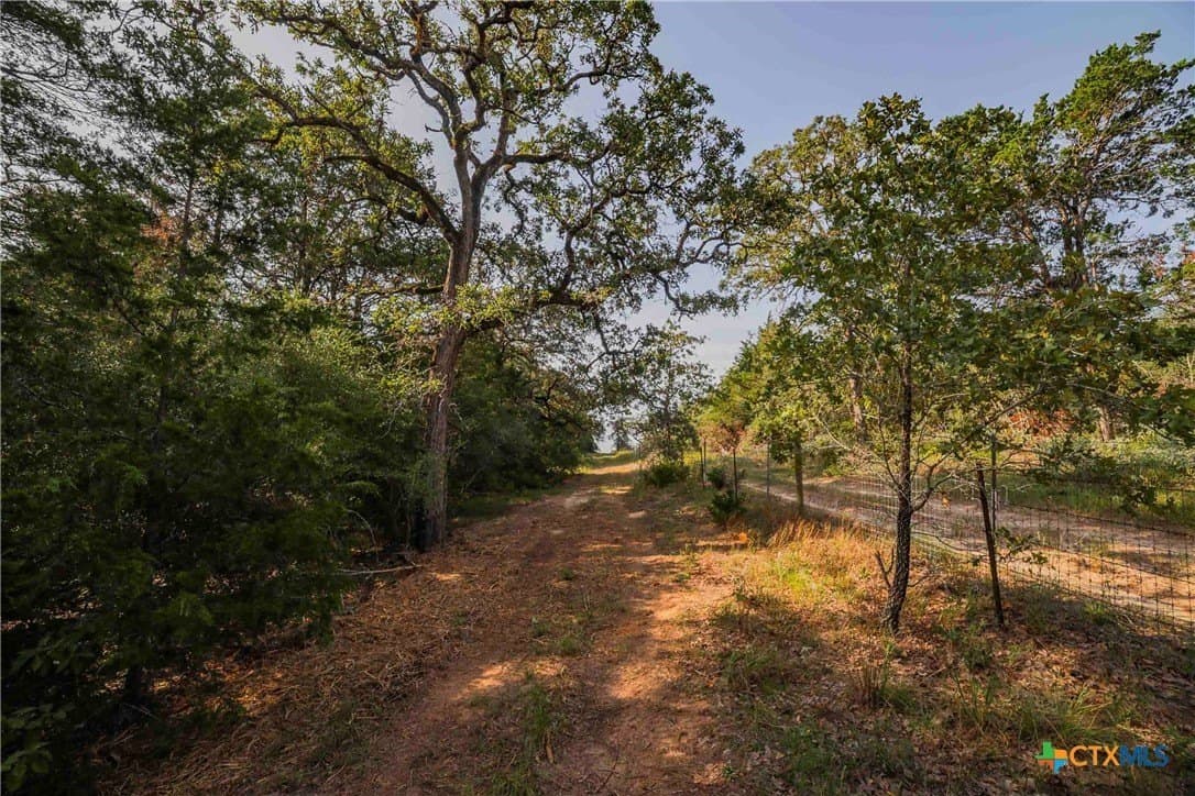 40 acres in Bastrop County - photo 20